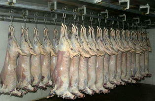 羊肉產(chǎn)業(yè)發(fā)展現(xiàn)狀及競(jìng)爭(zhēng)格局分析——聚焦農(nóng)副產(chǎn)品銷(xiāo)售